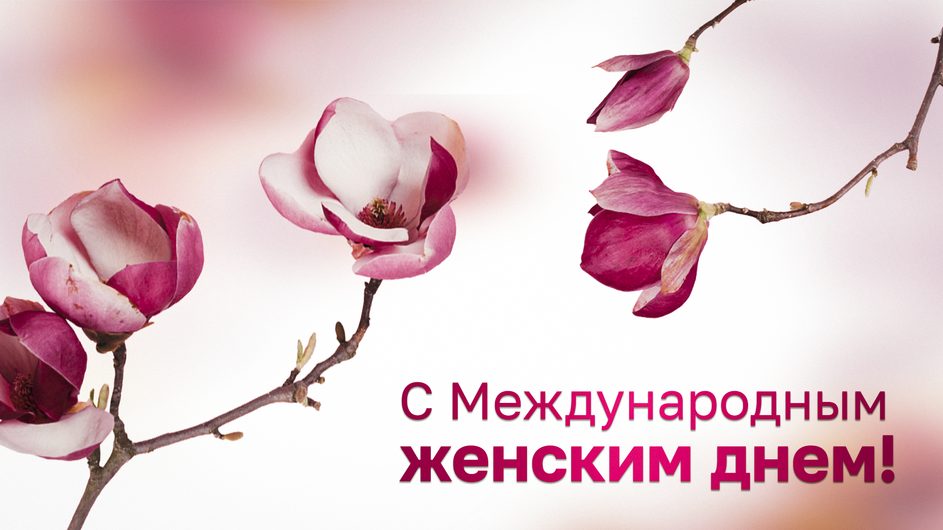 Институт специальной педагогики и психологии имени Рауля Валленберга сердечно поздравляет вас с Международным женским днем! Институт специальной педагогики и психологии имени Рауля Валленберга сердечно поздравляет вас с Международным женским днем!